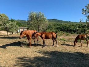 Da carmine in campagna